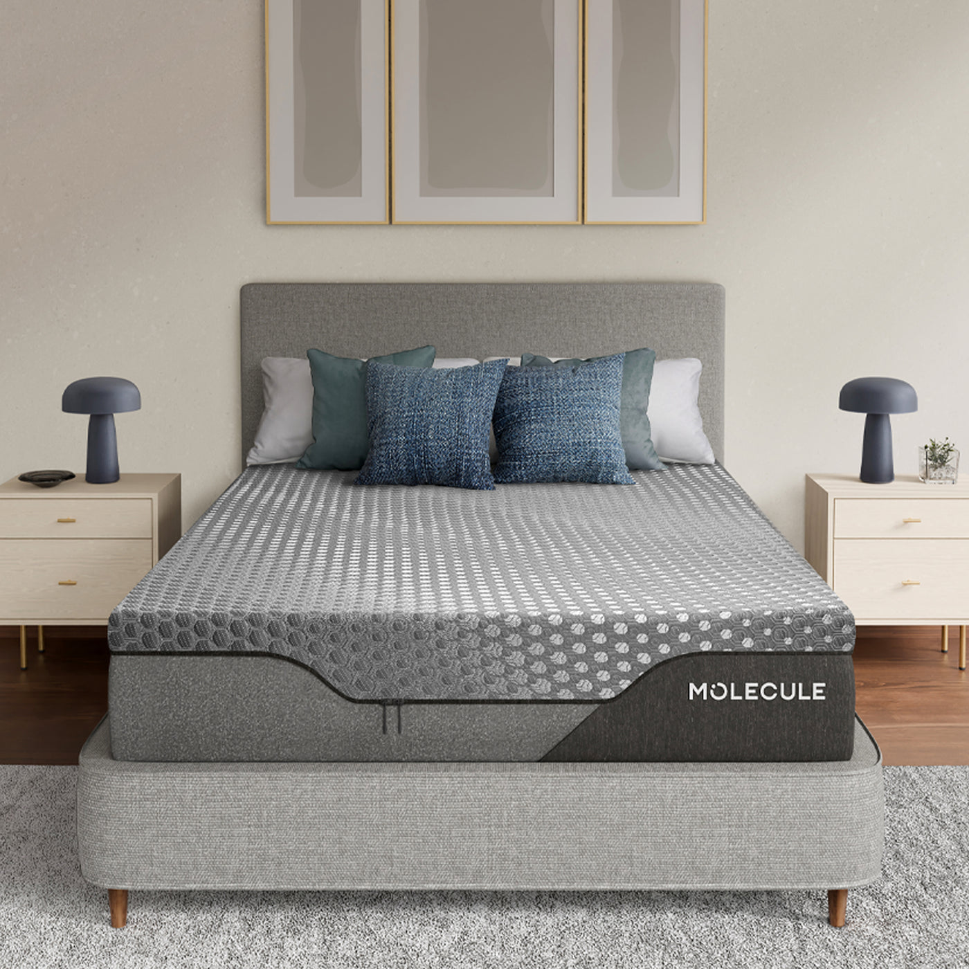 MOLECULE ENGAGE 12″ MATTRESS FIRM