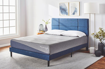 MOLECULE Reflex 10" Mattress