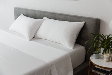 MOLECULE Percale Performance Sheets